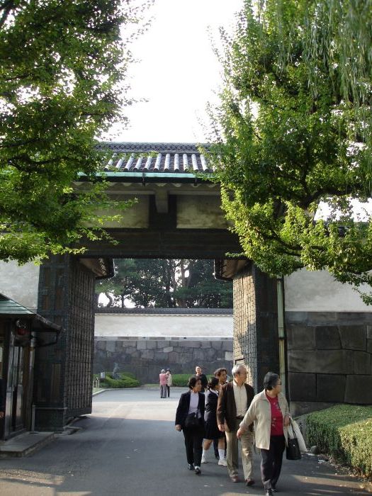 DSC00572.JPG (525x700, 121Kb)