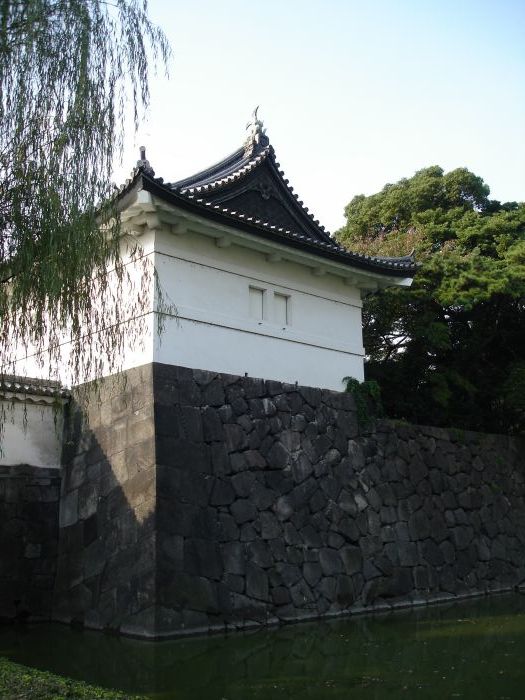 DSC00573.JPG (525x700, 83Kb)