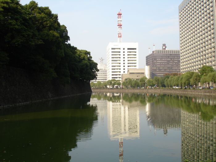 DSC00574.JPG (700x525, 69Kb)