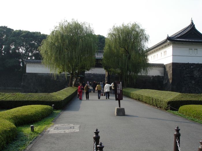 DSC00575.JPG (700x525, 78Kb)