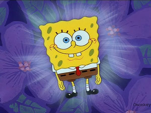 sponge1.jpg (300x225, 24Kb)