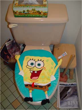 sponge3.jpg (288x384, 27Kb)