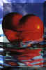 012_small1.jpeg (66x100, 2Kb)