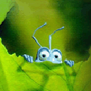 ant_aesha.gif (128x128, 11Kb)