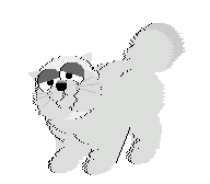 3253314_kotik.gif (192x168, 33Kb)
