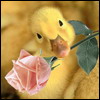 744707_758646.jpg (100x100, 11Kb)