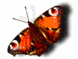 .gif (110x84, 26Kb)