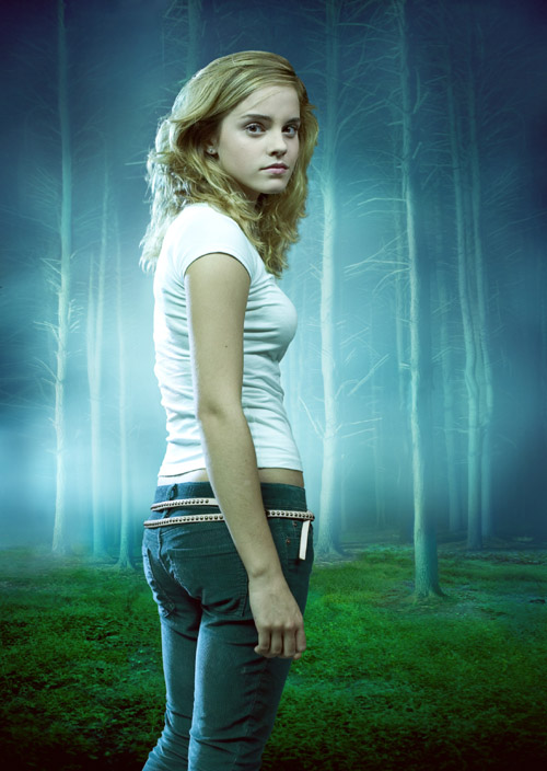 ew5.jpg (500x704, 104Kb)