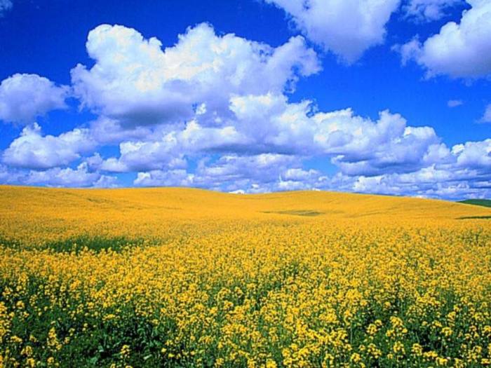 sky_027.jpg (700x525, 71Kb)