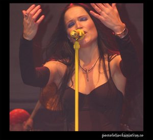 Wishing_by_NightwishLovers.jpg (300x273, 13Kb)