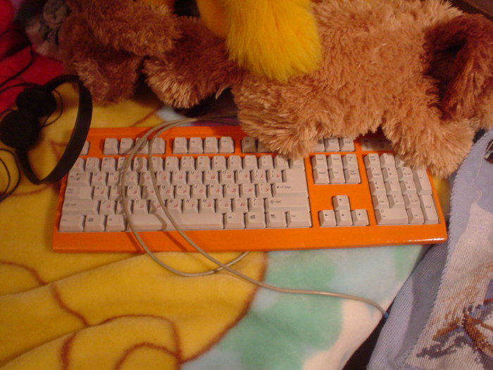 DSC07017.JPG (700x525, 86Kb)