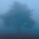 21316-128.jpg (128x128, 1Kb)