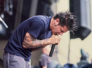 Adema10.jpg (300x221, 46Kb)