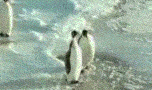 www_FuFlo_ru_2005101504133952.gif (152x90, 190Kb)