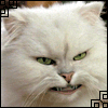 post-2036-1128581847.gif (100x100, 38Kb)