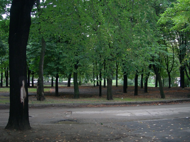 f_911071.jpg (640x480, 141Kb)
