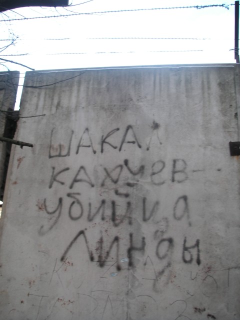 PICT0002.jpg (480x640, 51Kb)