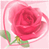 roza8.gif (70x70, 3Kb)