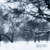 snow_by_laconic_words.gif (100x100, 33Kb)