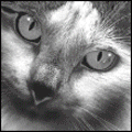 .gif (120x120, 112Kb)