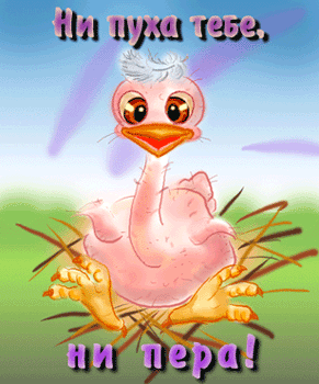 pero.gif (291x350, 50Kb)