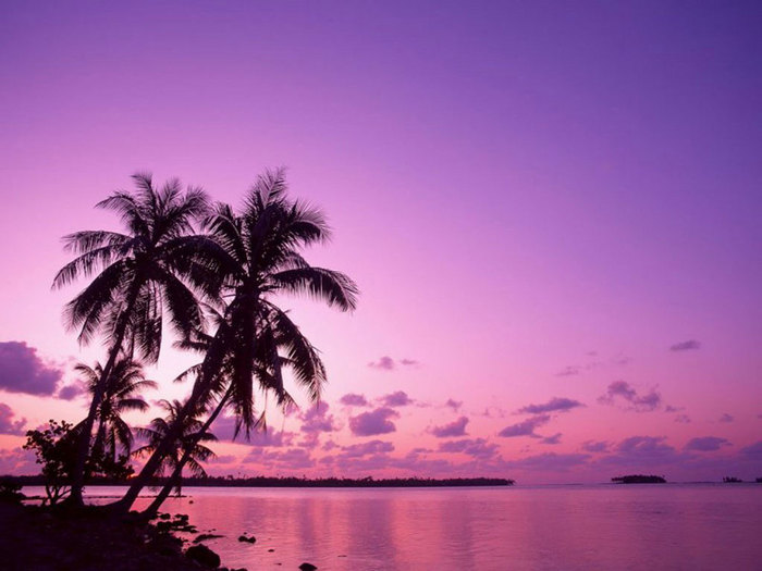 Nature.jpg (700x525, 65Kb)