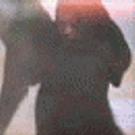 679817_430903.gif (150x150, 57Kb)