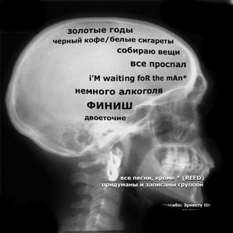 4433058_big_sebepe2003_back.jpg (340x340, 21Kb)