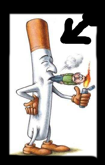 4433075_cigarette.jpg (350x550, 27Kb)