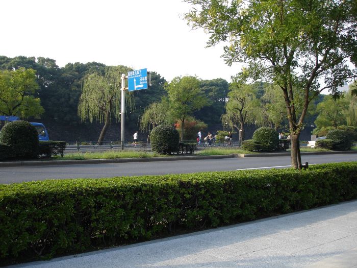 DSC00578.JPG (700x525, 106Kb)