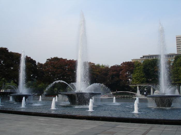 DSC00588.JPG (700x525, 62Kb)