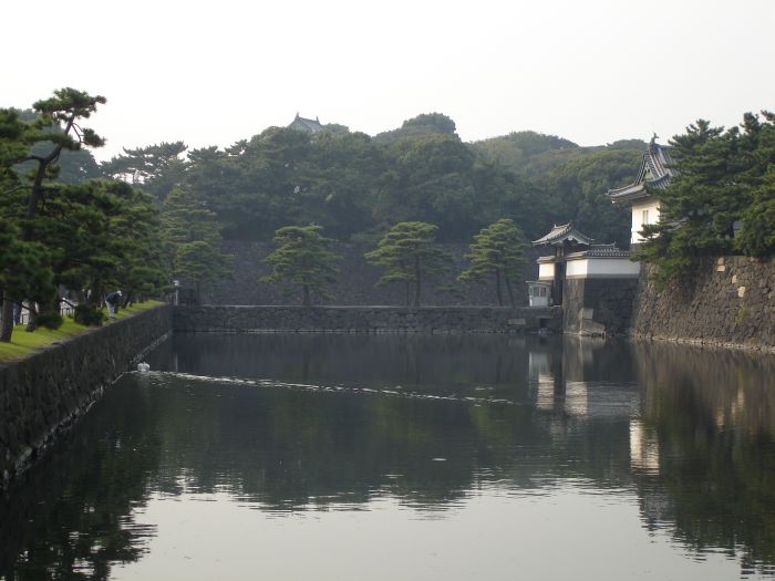 DSC00590.JPG (700x525, 60Kb)