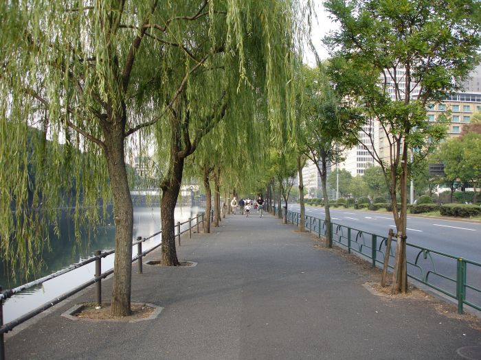 DSC00591.JPG (700x525, 126Kb)