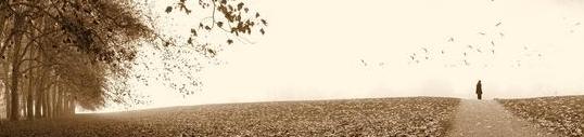 3502616_pon.jpg (538x127, 13Kb)