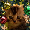 ng3.jpg (100x100, 6Kb)