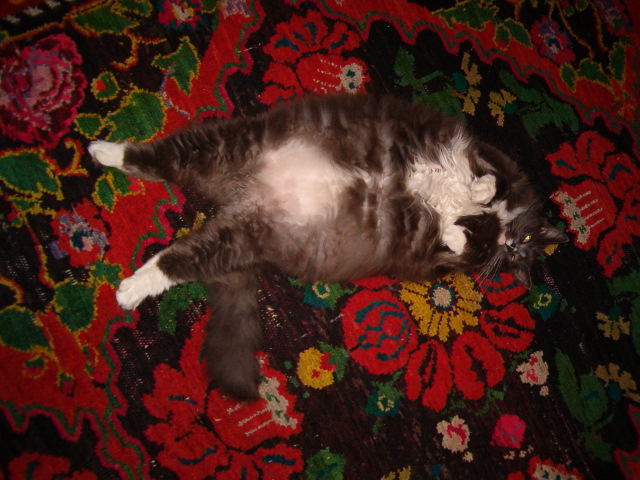HPIM0845.JPG (640x480, 138Kb)