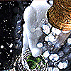 -.gif (100x100, 10Kb)