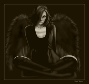 242044_The_Dark_Angel.jpg (300x285, 8Kb)