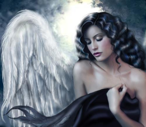 Angel%20Beauty.JPG (500x434, 28Kb)