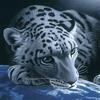 679596_921773.gif (100x100, 18Kb)