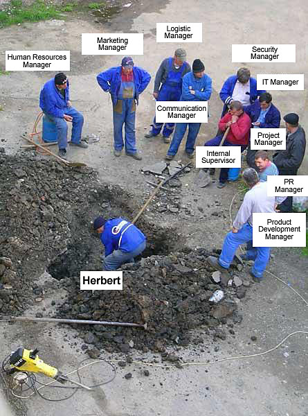 Management.jpg (445x600, 97Kb)