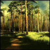 img.gif (100x100, 10Kb)