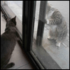 IMG_0011_2.gif (100x100, 10Kb)