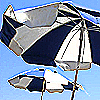 strand1_mittel.gif (100x100, 9Kb)