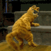 3425491_2747909.gif (100x100, 20Kb)