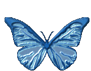 borbo120.gif (180x140, 28Kb)