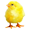 2724037.gif (100x100, 14Kb)