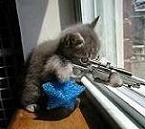 915794_843286.jpg (145x129, 5Kb)