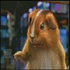 3954622_928369_805565_459107.gif (100x100, 398Kb)