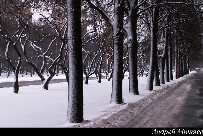 PICT6766-2.jpg (700x467, 84Kb)